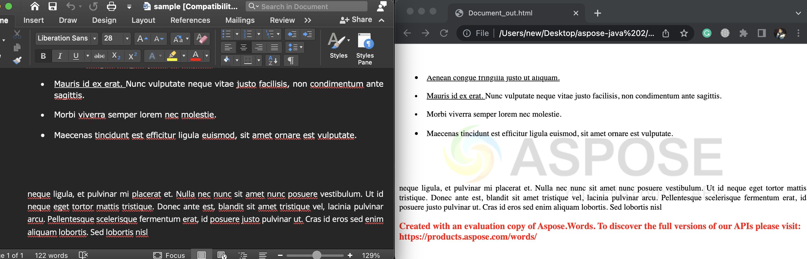 word DOCX to html java