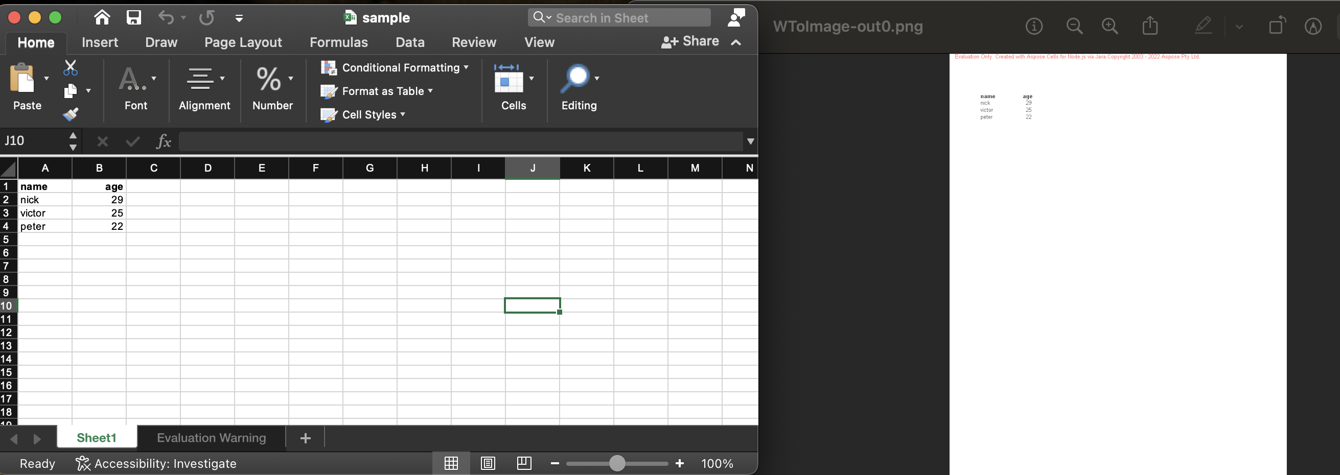 Excel XLSX do PNG